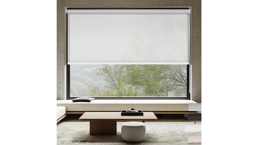 light filtering window roller shades