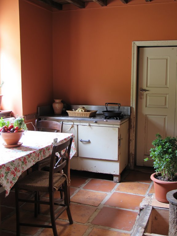 earthy terracotta kitchen warmth
