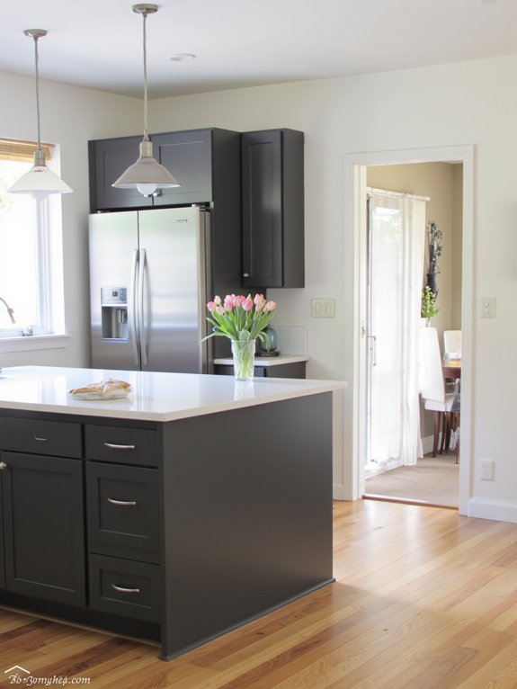 sleek minimalist cabinetry choice