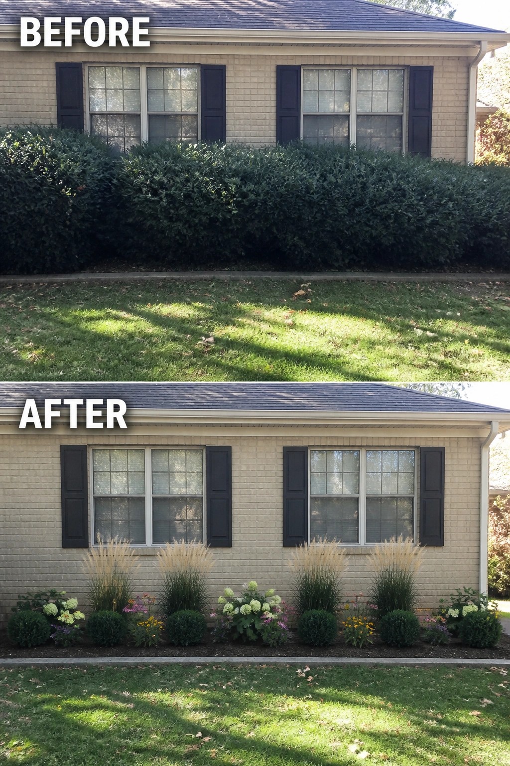 Before and after house exterior with hedge replaced by colorful garden bed