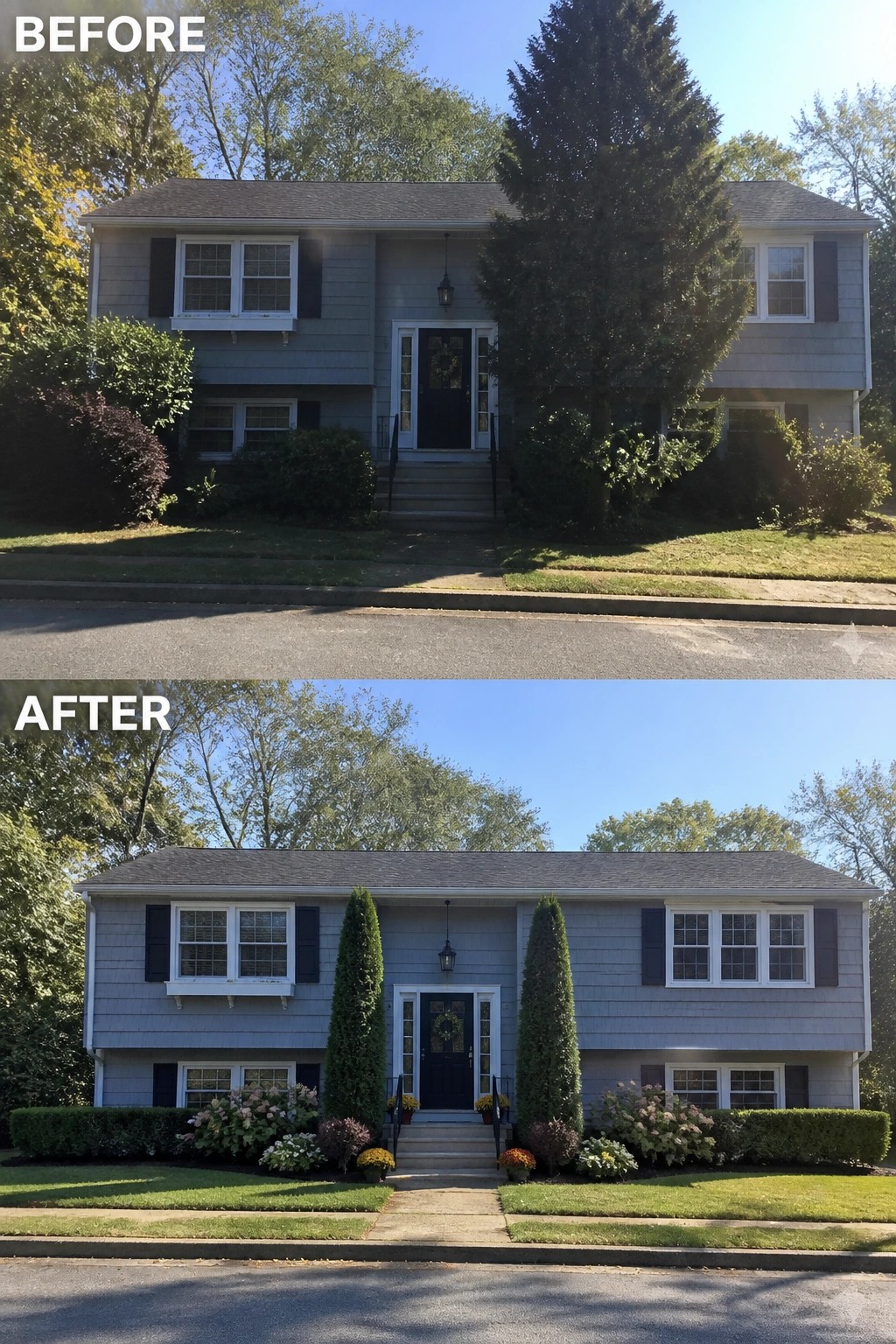 Before-and-after image of a tri-level house where an overgrown entry was cleared and the front door was framed with two tall columnar evergreens