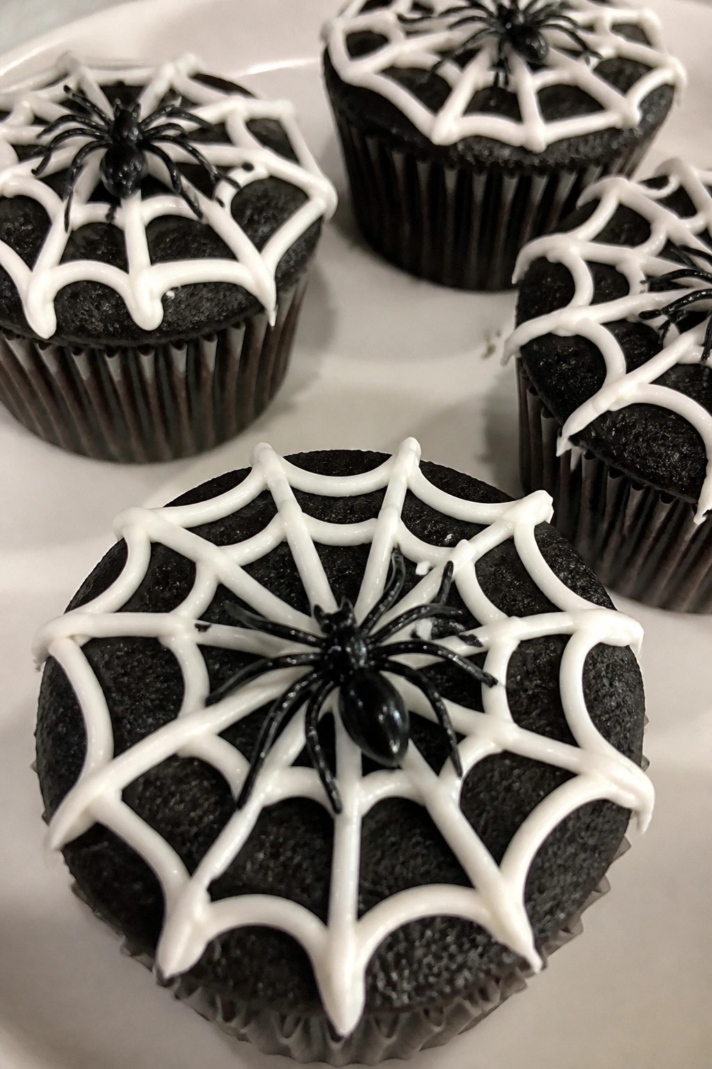 Creepy Spiderweb Black Cocoa Cupcakes