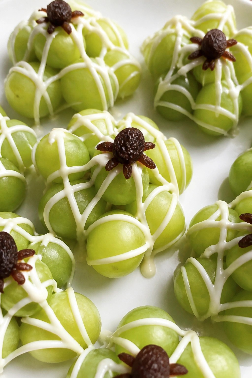 Grape Spider Web Clusters