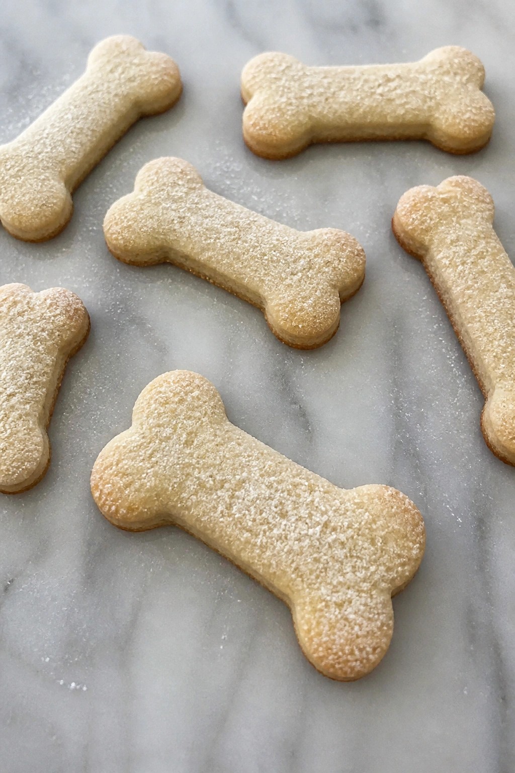 Skeleton Bone Vanilla Shortbread