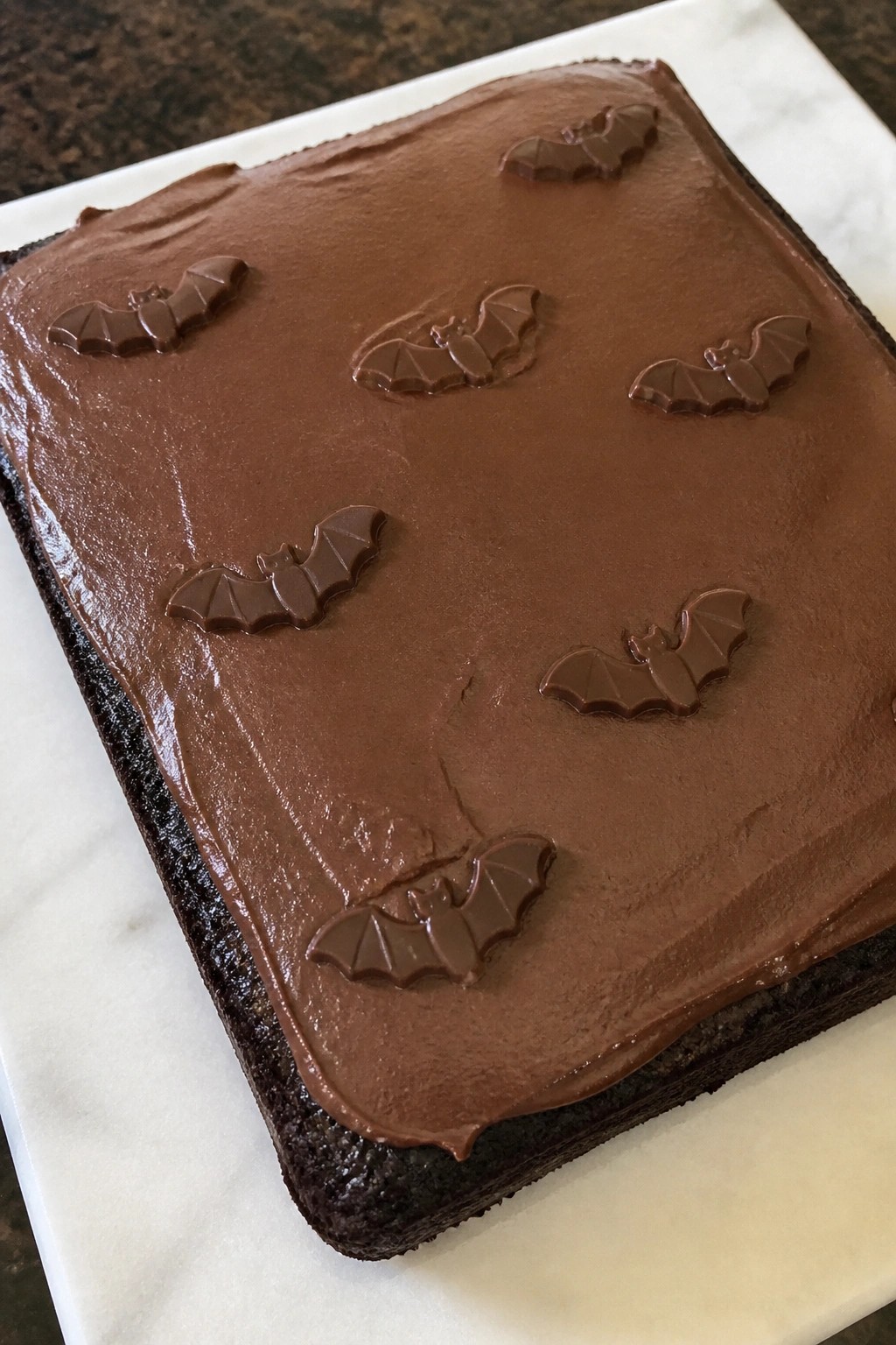 Bat Colony Dark Cocoa Sheet Cake