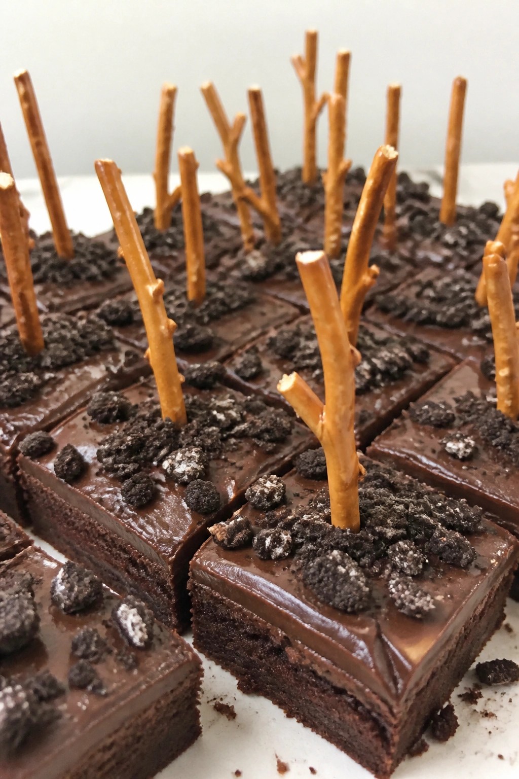 Haunted Forest Fudge Brownies