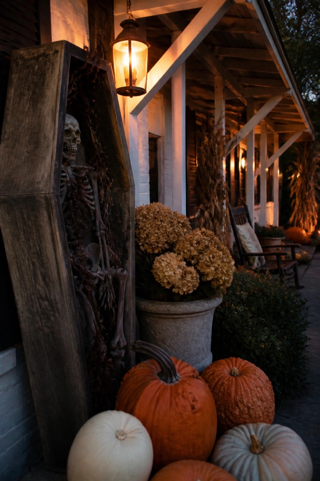 Front porch with a skeleton displayed upright inside a tall wooden coffin, orange and white pumpkins clustered at the base, and a lit lantern hanging above.
